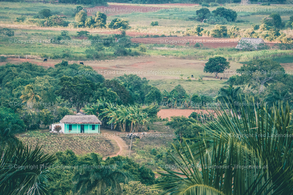 Kuba 2016-04197 | Fotos und Fotoprodukte - Realisiert mit Pictrs.com