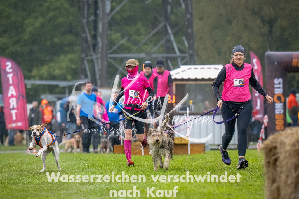 1004--3 | kk-dogfotos