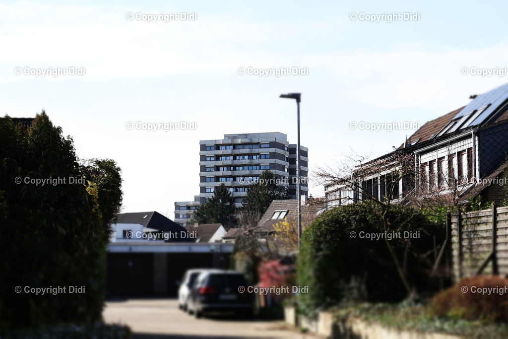 IMG_2162 | Didi - Realisiert mit Pictrs.com