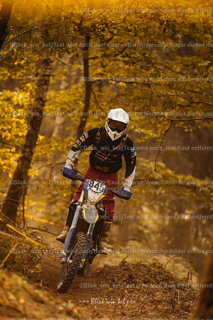 E68A3968 | blick_win_kel