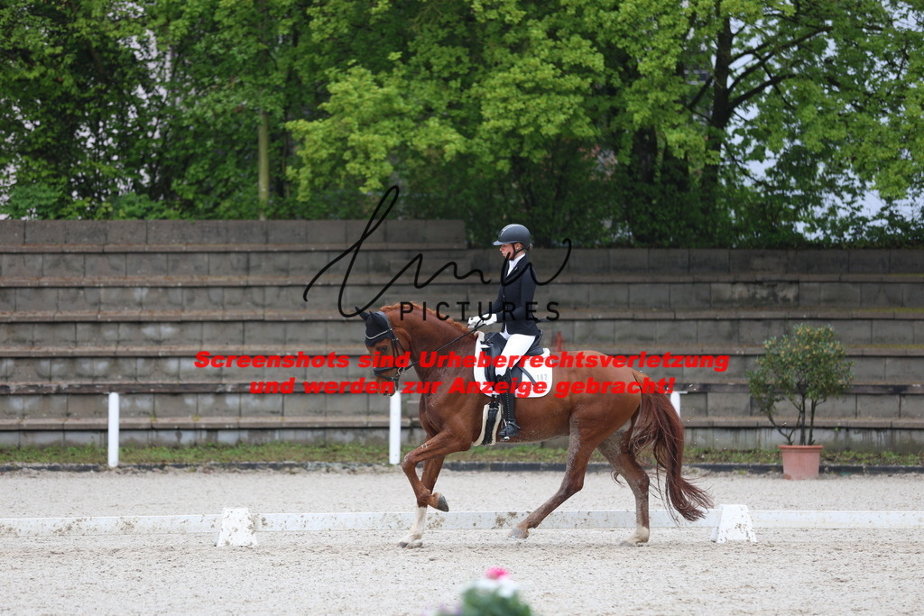 A40A8284 | lmwpictures - Realisiert mit Pictrs.com