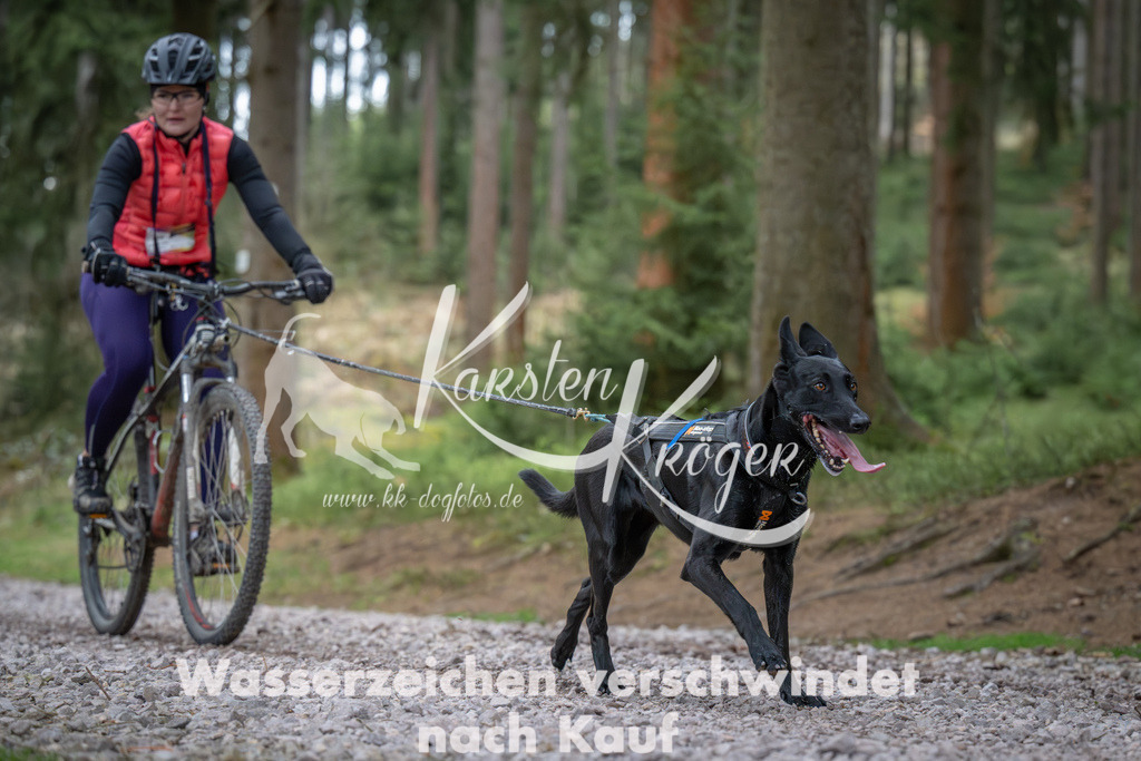 0948_ZZ91966 | kk-dogfotos