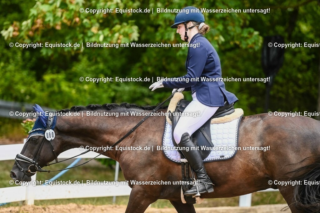 20230716_03_Dressurprfg. Kl.L - Tr._0645 | equistock