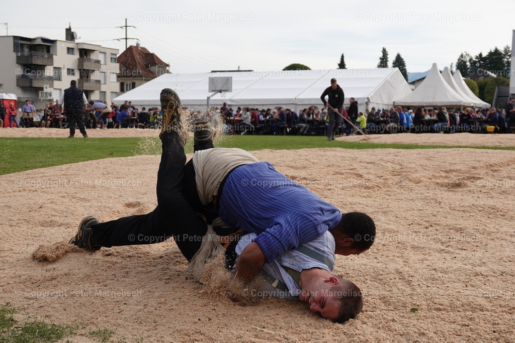 DSC08464 | Schwingen - Realisiert mit Pictrs.com