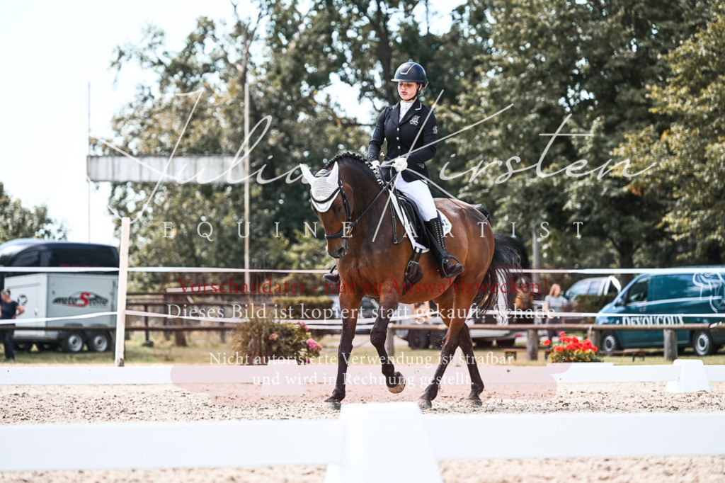 DSC_5674 | Pferde- und Turnierfotografie in Westsachsen. Pferdeportraits, Auftragszeichnungen und intuitive Kunst.