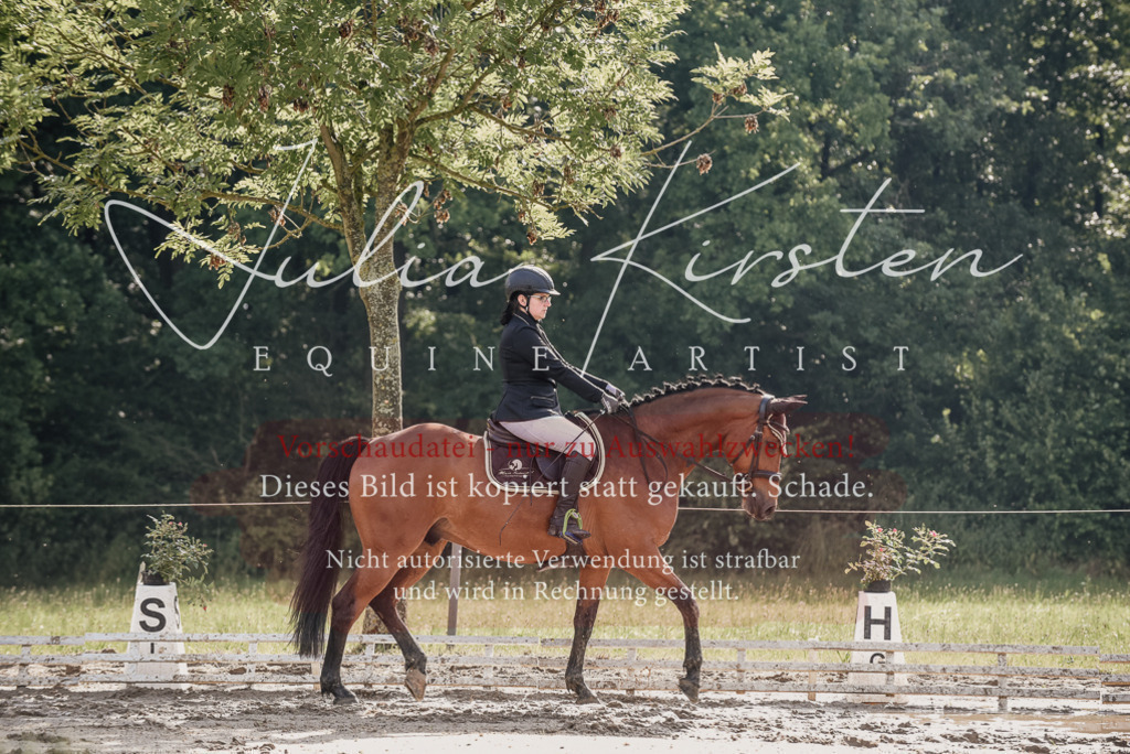 DSC_8510 | Pferde- und Turnierfotografie in Westsachsen. Pferdeportraits, Auftragszeichnungen und intuitive Kunst.