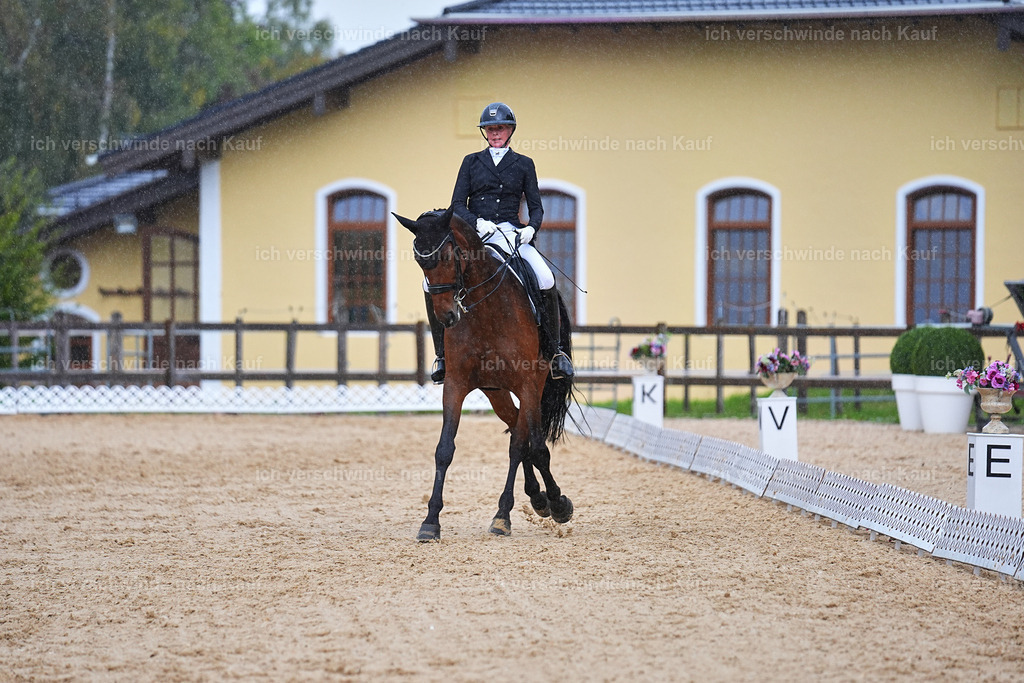 8_1-020-Klasse S_  -Marixx-4357 | working equitationturnier fotograf videograf stoibphotography marixx film working equitation deutschland reitsport turnierfotografie eventfotografie equestrian events