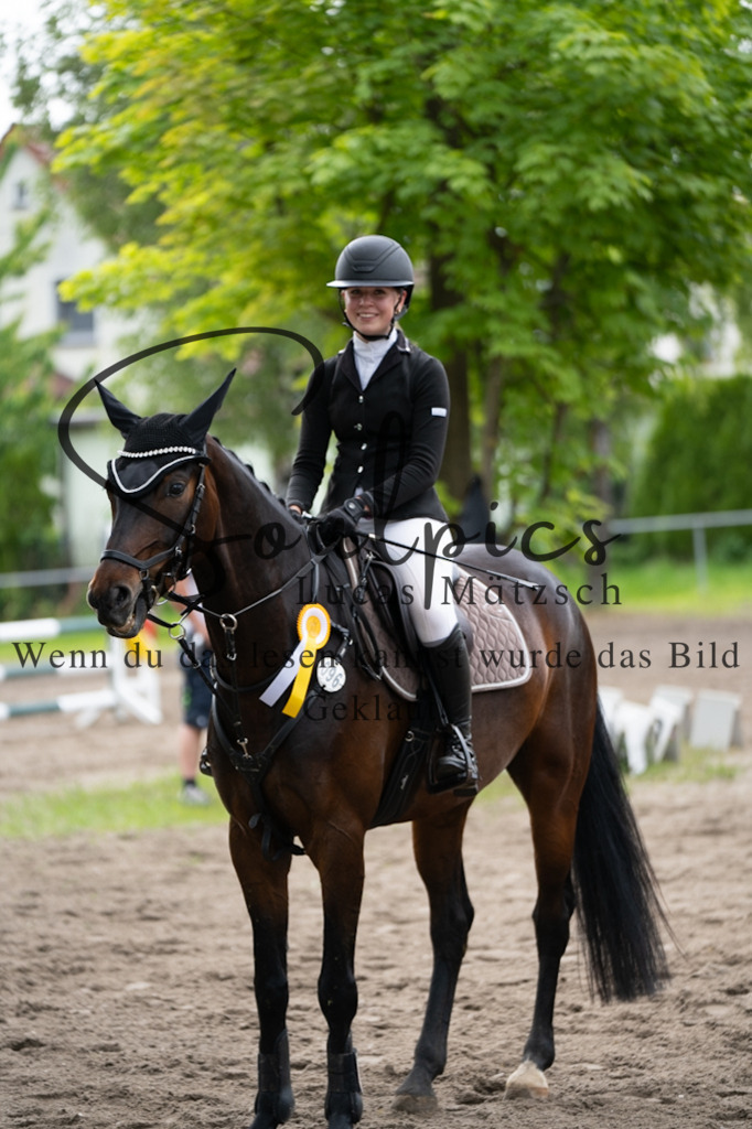 A7V03971 | Pferdefotograf