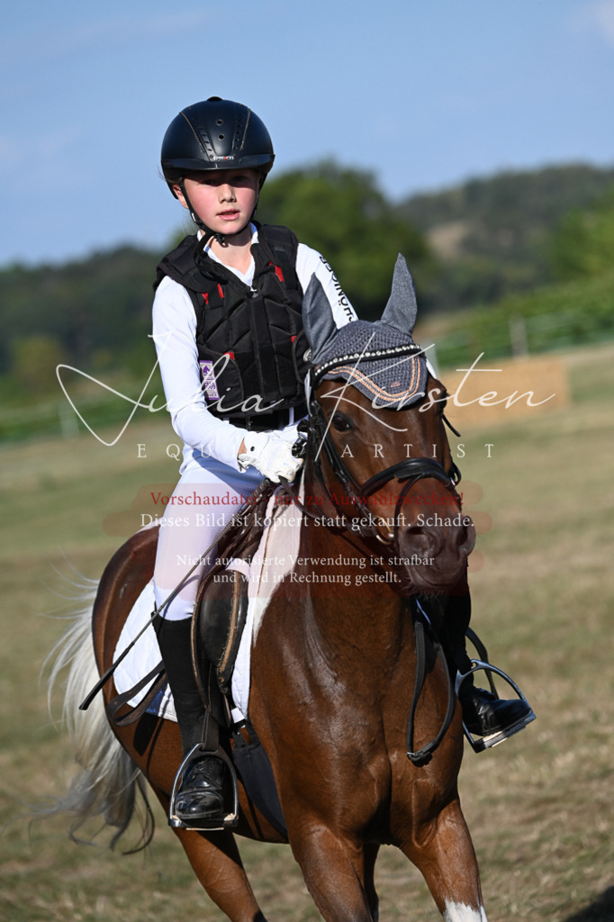 DSC_8995 | Pferde- und Turnierfotografie in Westsachsen. Pferdeportraits, Auftragszeichnungen und intuitive Kunst.