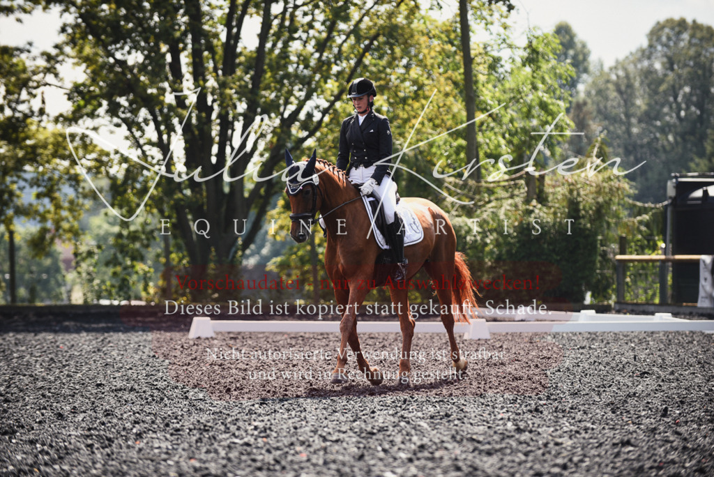 DSC_4061 | Pferde- und Turnierfotografie in Westsachsen. Pferdeportraits, Auftragszeichnungen und intuitive Kunst.