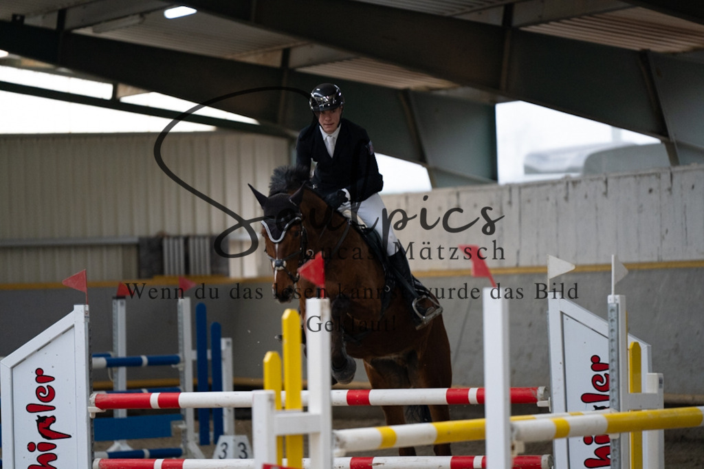 A7V08715 | Pferdefotograf