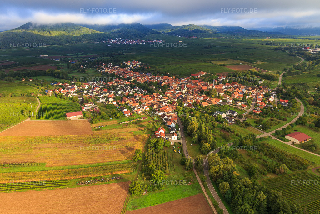 Luftbild: Dorfansicht am Kaiserbach aus Südwesten in Göcklingen im Bundesland Rheinland-Pfalz in Deutschland. Foto: IMG_103306.jpg vom 10.09.2017 durch Werner Riehm/FLY-FOTO.de