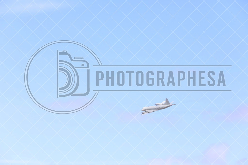 IMG_8821 | photographesa-joergens - Realisiert mit Pictrs.com
