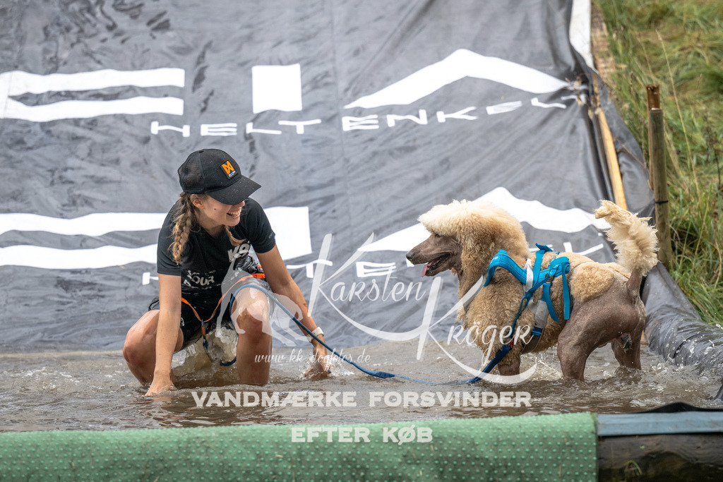 1338_ZZ92653 | kk-dogfotos