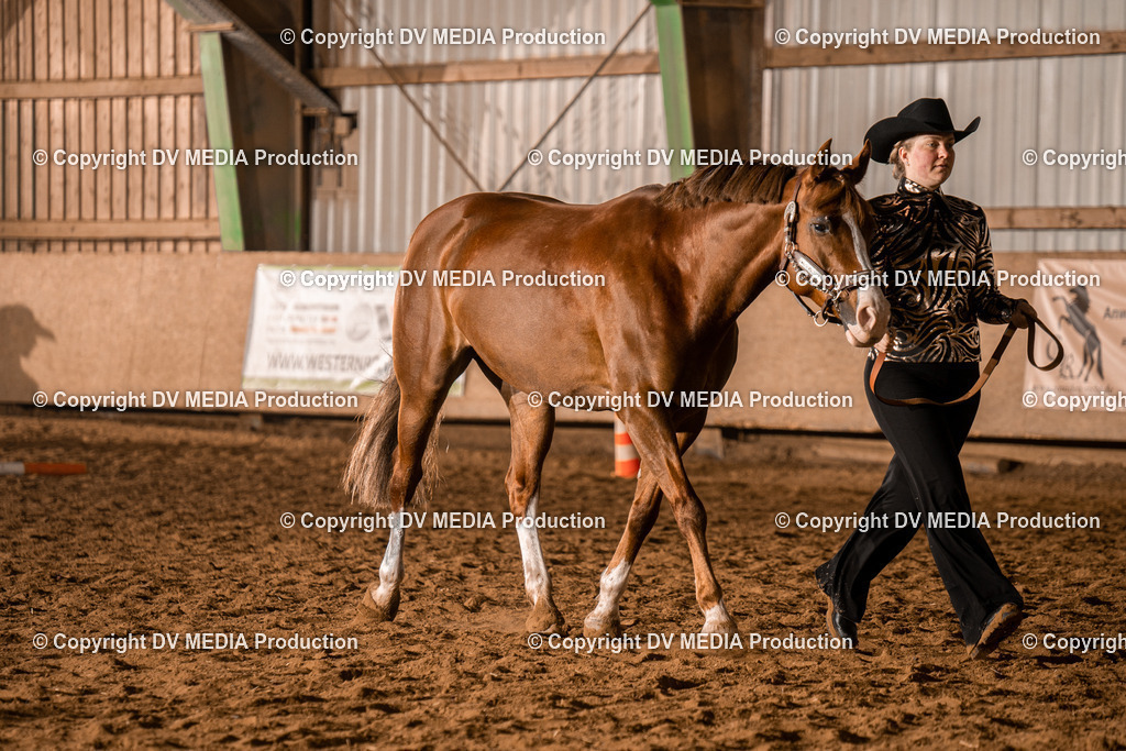 BAL01205 | dv-media-shop - Realisiert mit Pictrs.com