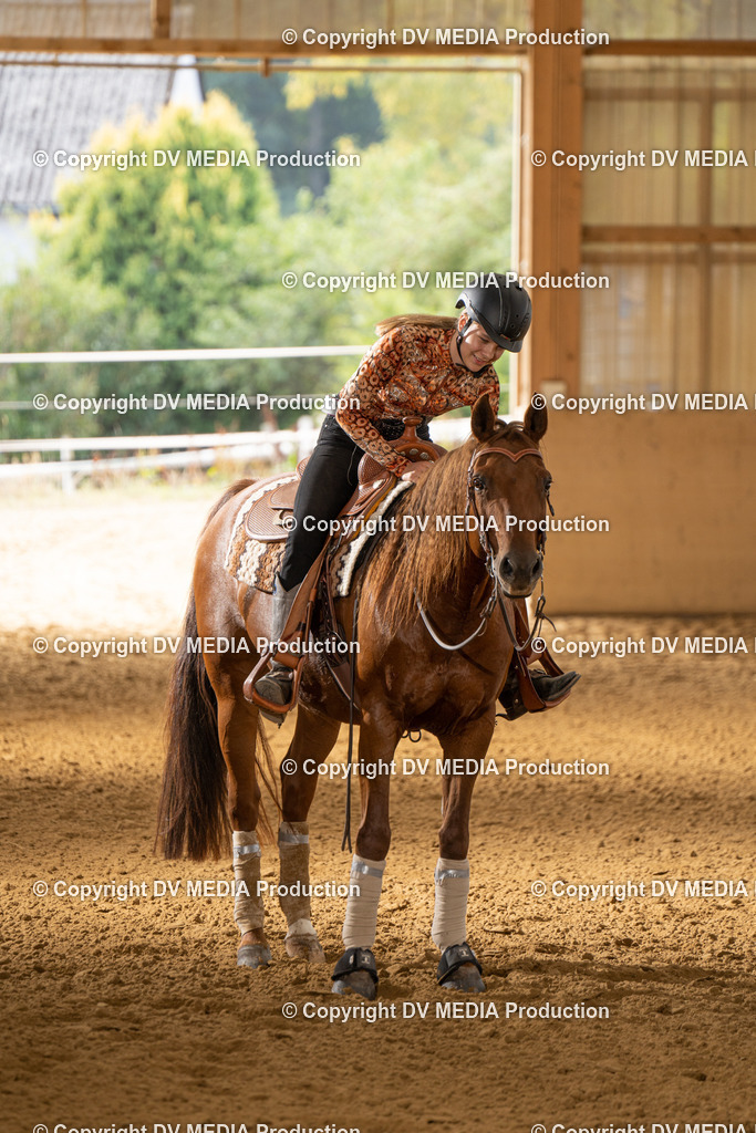 LAU01713 | dv-media-shop - Realisiert mit Pictrs.com