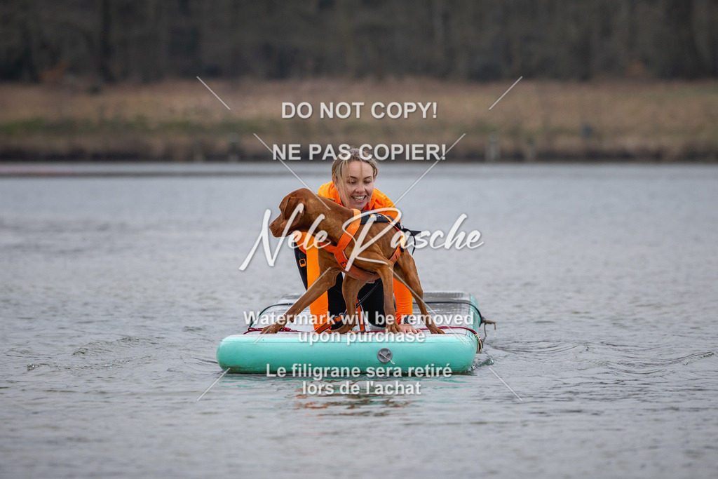 nelerasche_Hulsbeek_Sa1600-1700_02 | nelerasche