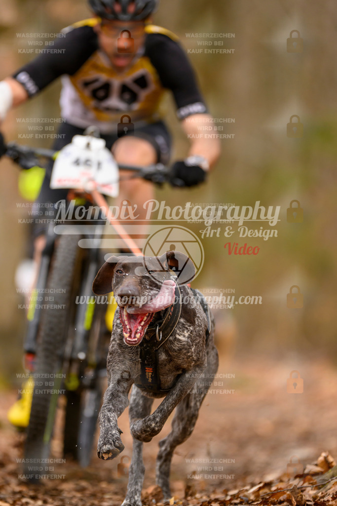 MompixPhotography_Habay2025_SA_Bike-37 | mompixphotography