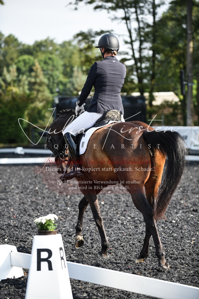 DSC_3115 | Pferde- und Turnierfotografie in Westsachsen. Pferdeportraits, Auftragszeichnungen und intuitive Kunst.