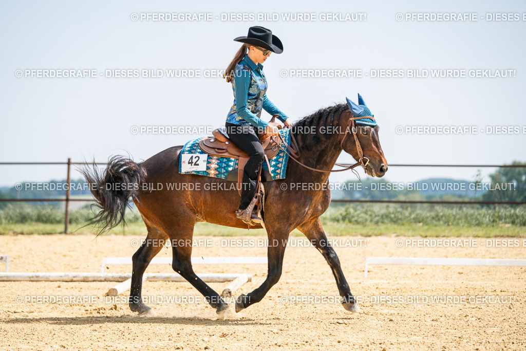 DSC00721 | Pferdegrafie