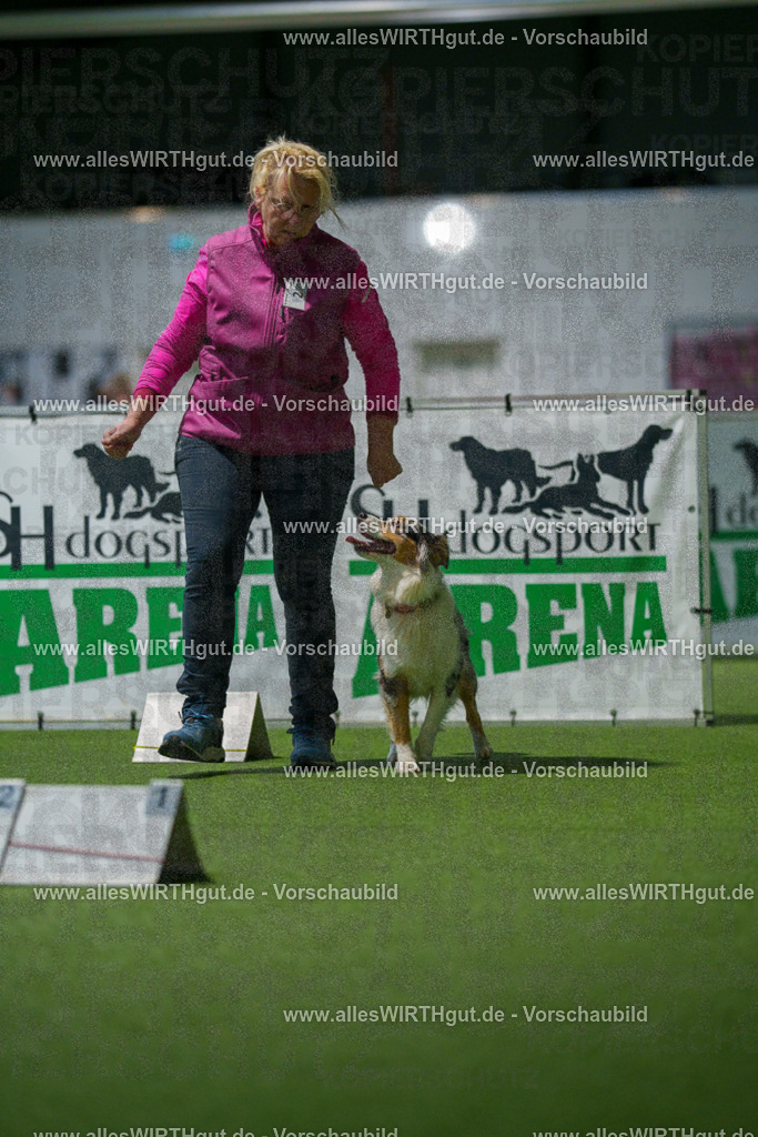 7R504075 | Professionelle Tierfotografie in Mönchengladbach von Daniel Wirth (allesWIRTHgut). Liebevolle & natürliche Bilder von Hunden & Katzen für unvergessliche Erinnerungen.