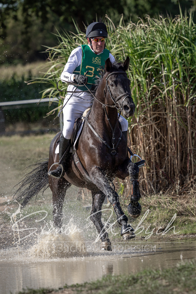 20250907-_3LI3393 | Tierfotografie Pferde, Hunde, Katzen, Haustiere.
Turnierfotografie Reitturniere, Reiten, Springreiten, Dressur in Hanau, dem Main-Kinzig-Kreis und dem Rhein-Main- Gebiet um Frankfurt