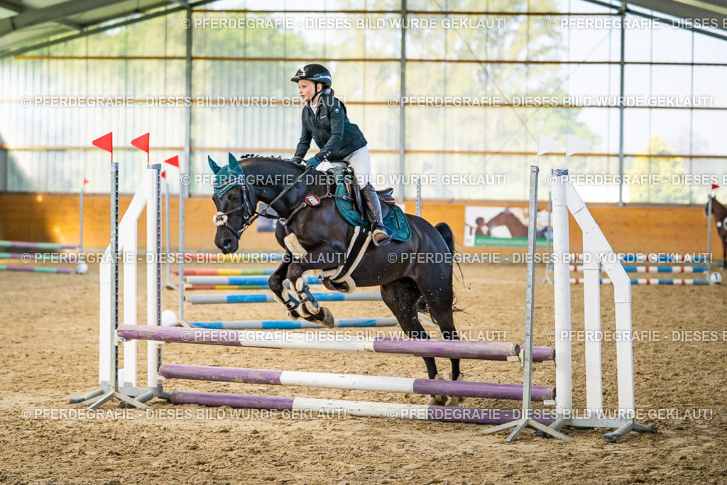 DSC00992 | Pferdegrafie