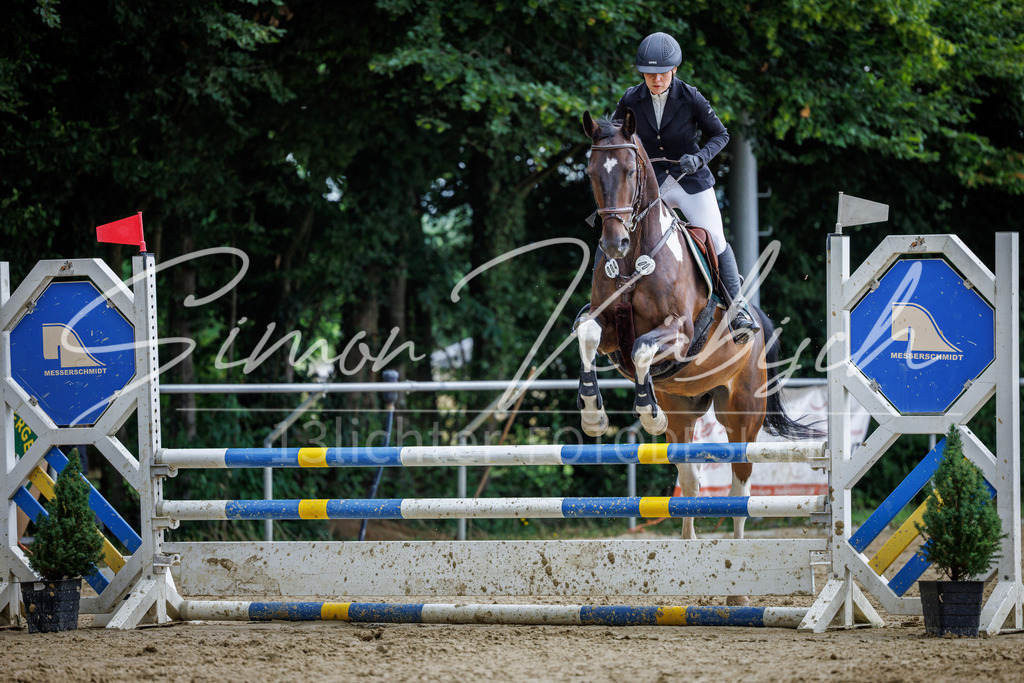 20260705-_3LI5155 | Tierfotografie Pferde, Hunde, Katzen, Haustiere.
Turnierfotografie Reitturniere, Reiten, Springreiten, Dressur in Hanau, dem Main-Kinzig-Kreis und dem Rhein-Main- Gebiet um Frankfurt