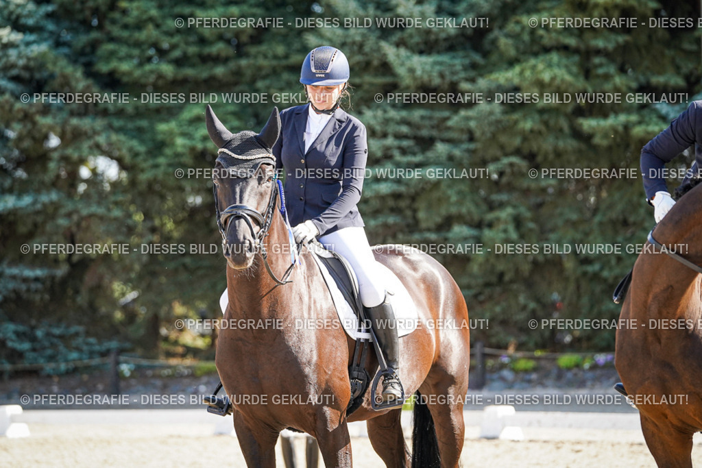 DSC00135 | Pferdegrafie