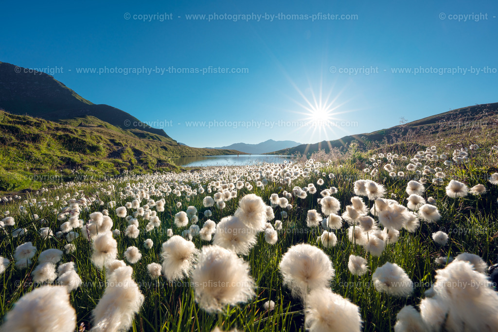 Torseen im Tuxertal im Tuxertal copyright  Thomas Pfister-3 | PHOTOGRAPHY BY THOMAS PFISTER