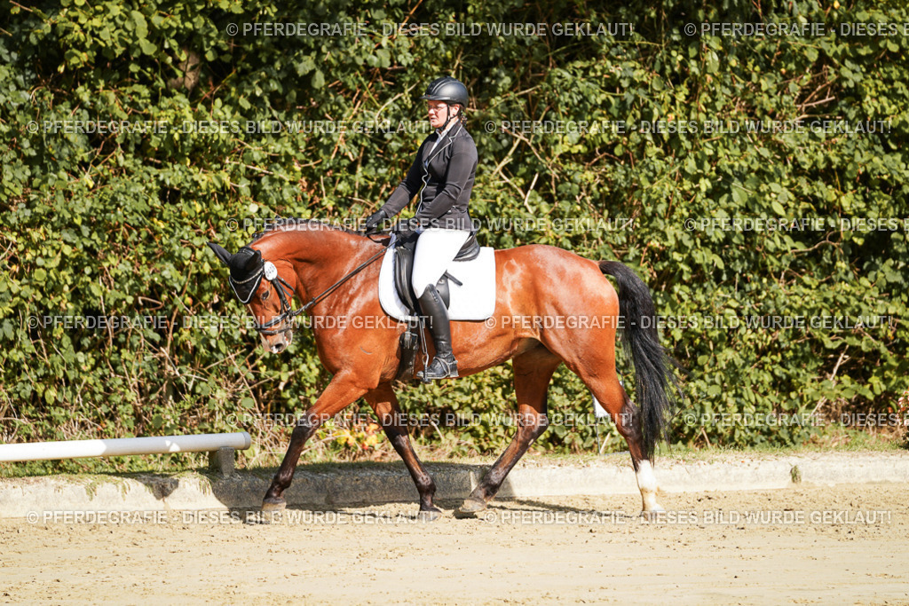 DSC08368 | Pferdegrafie