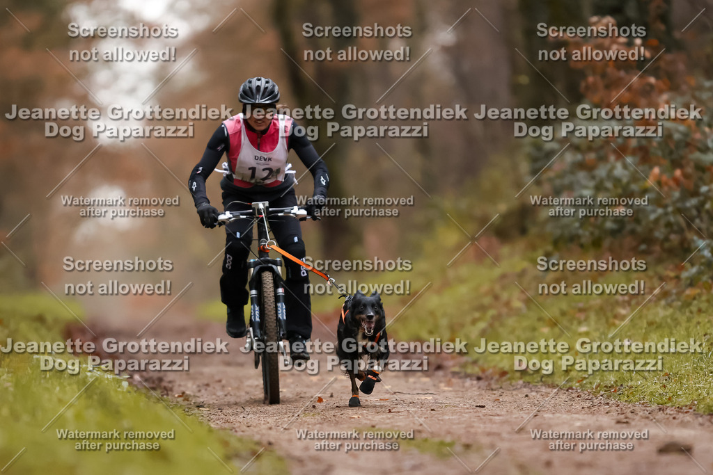 Dog Paparazzi - Speedhunter Mannheim  2025-34 | Dog Paparazzi Jeanette Grottendiek Fotografie & Videografie