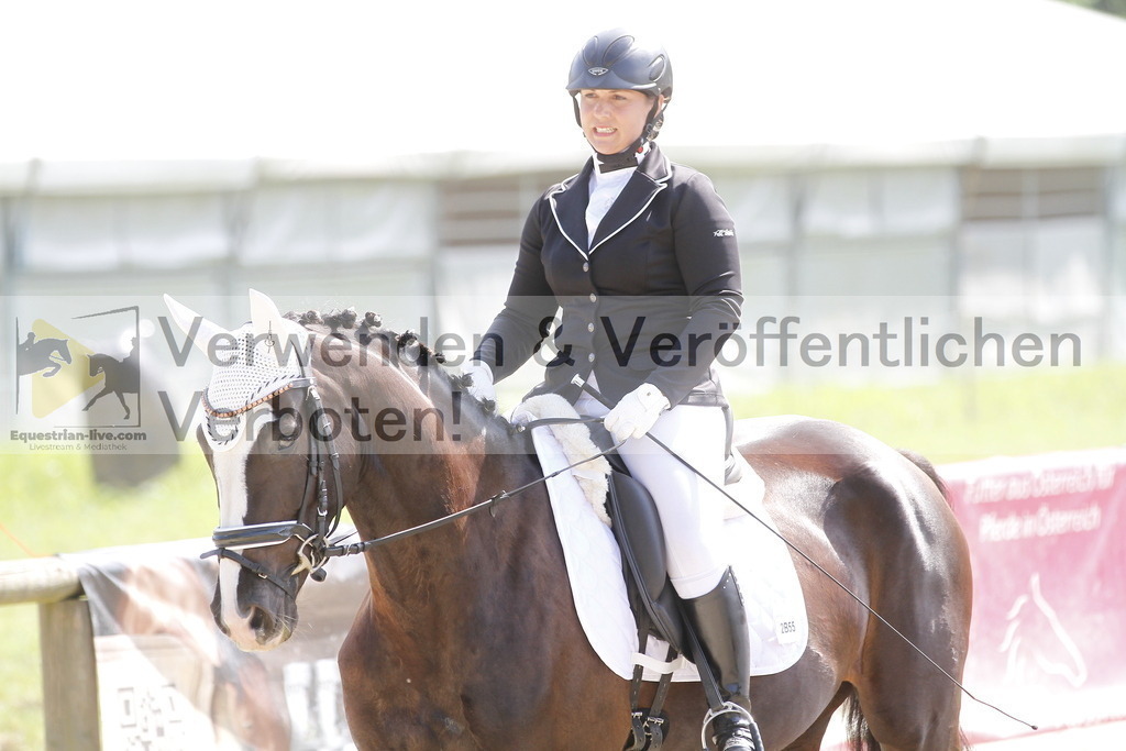 _MG_2100 | equestrian-live-com