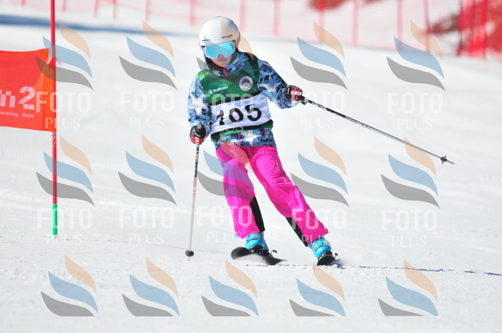 C3626 | holidayphoto