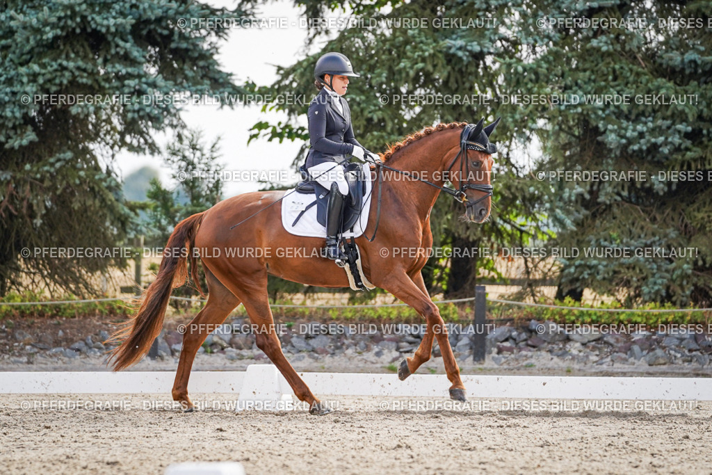 DSC00709 | Pferdegrafie