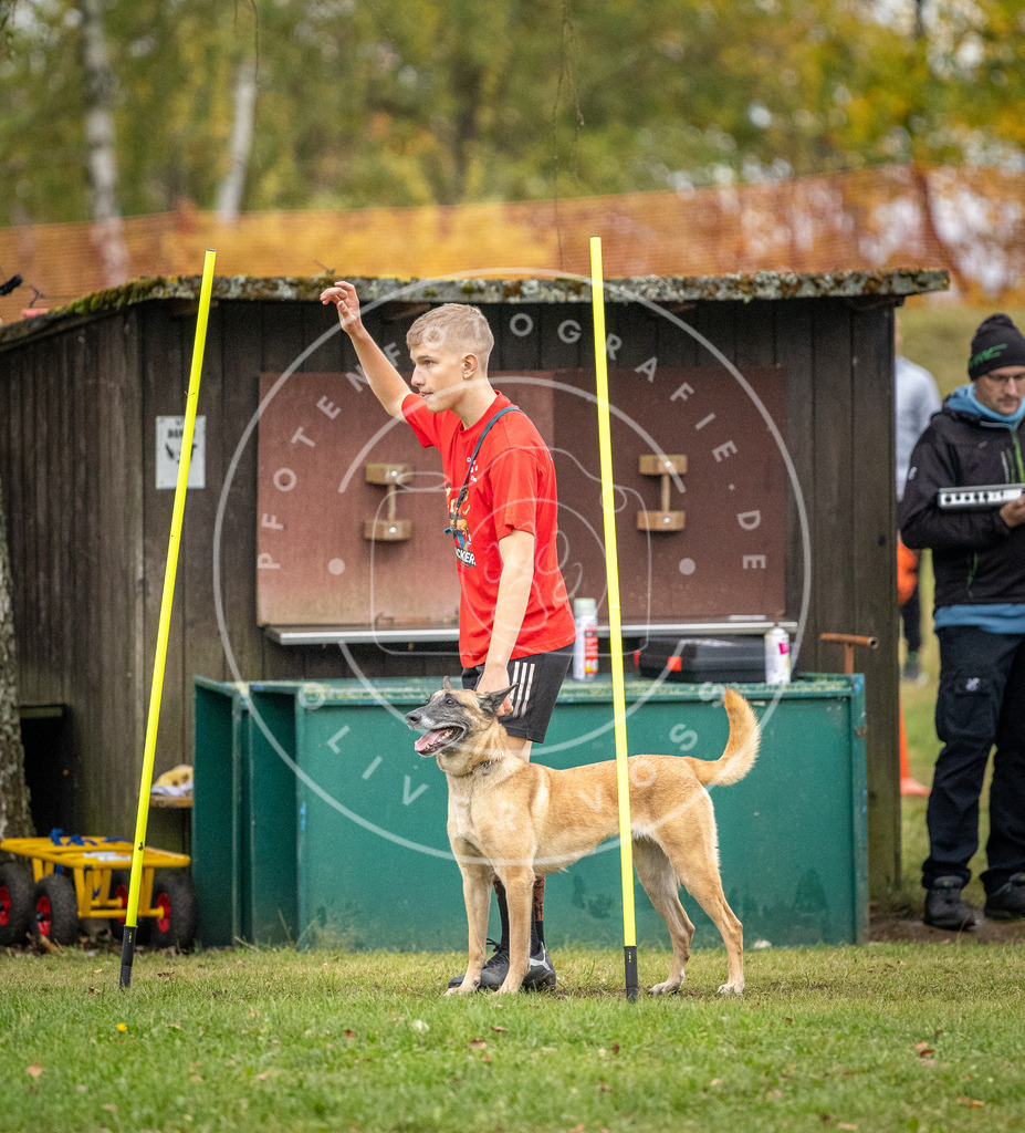 Pfotenfotografie_DV3A0731 | Hundefotografie, Tierfotograf, Pfotenfotografie, Fotoshooting Hund, Hunde Portrait, Hundesport, Hundeportraits, Heideshooting, Hunde, Sportfotograf, Hundefotograf, Turnierhundsport, THS,  - Realisiert mit Pictrs.com
