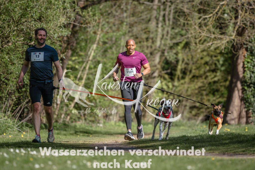 1030DZ6_3969 | kk-dogfotos