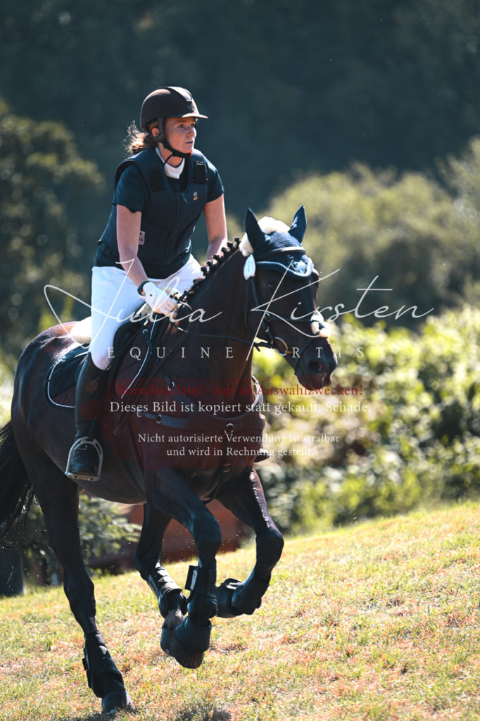 DSC_8049 | Pferde- und Turnierfotografie in Westsachsen. Pferdeportraits, Auftragszeichnungen und intuitive Kunst.