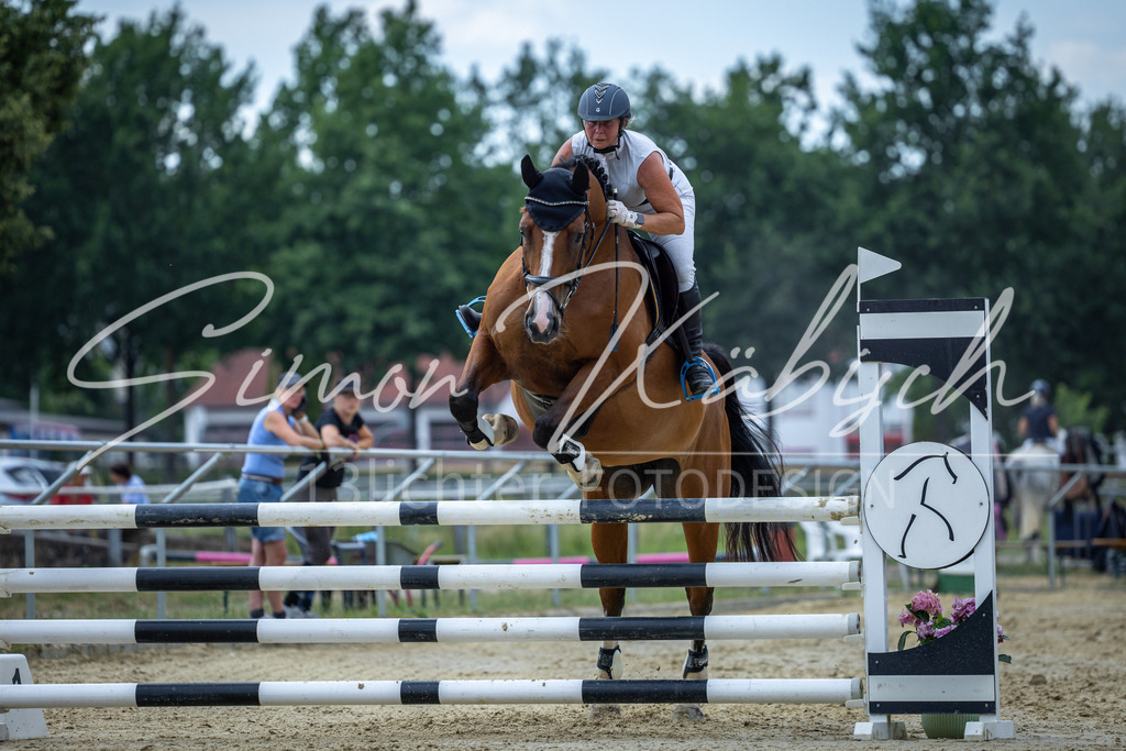 20260704-_3LI1826 | Tierfotografie Pferde, Hunde, Katzen, Haustiere.
Turnierfotografie Reitturniere, Reiten, Springreiten, Dressur in Hanau, dem Main-Kinzig-Kreis und dem Rhein-Main- Gebiet um Frankfurt
