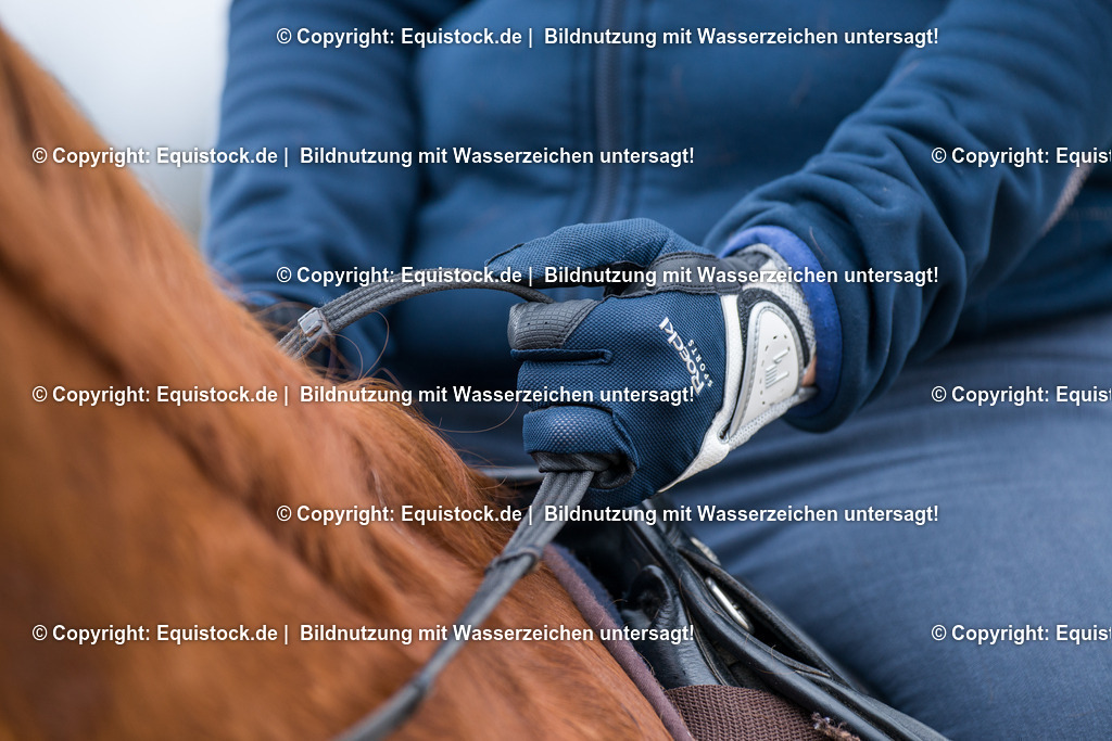 20160328_Handschuh_0002 | equistock