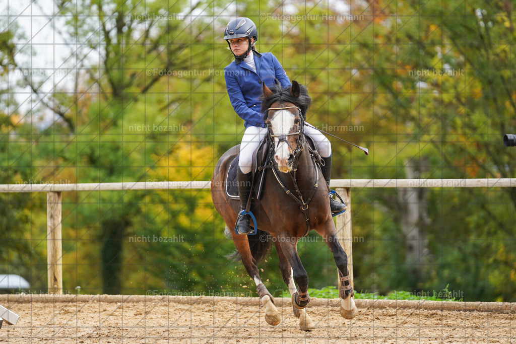 20221009-FAH08623 | Diessen am Ammersee, 2022, Dressur- und Springturnier, Reitsportbilder, Turnierfotografen Bayern, Pferdefotografen, Fotoagentur Herrmann, Turnierbilder