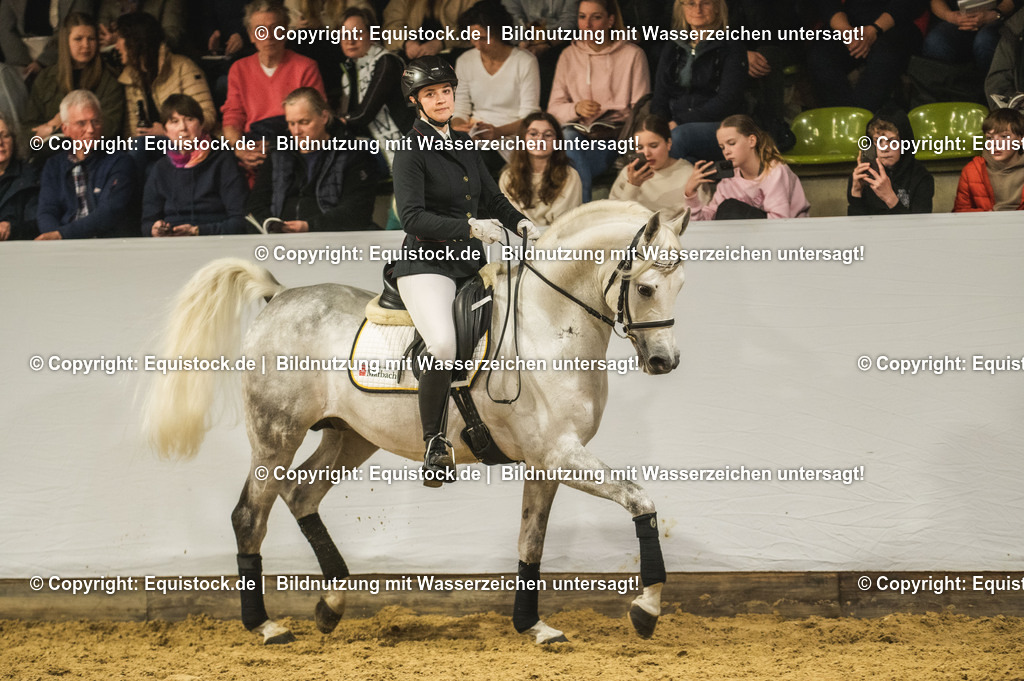 20240302_Hengstvorstellung_Marbach_TOMsPiC_0996-2 | equistock