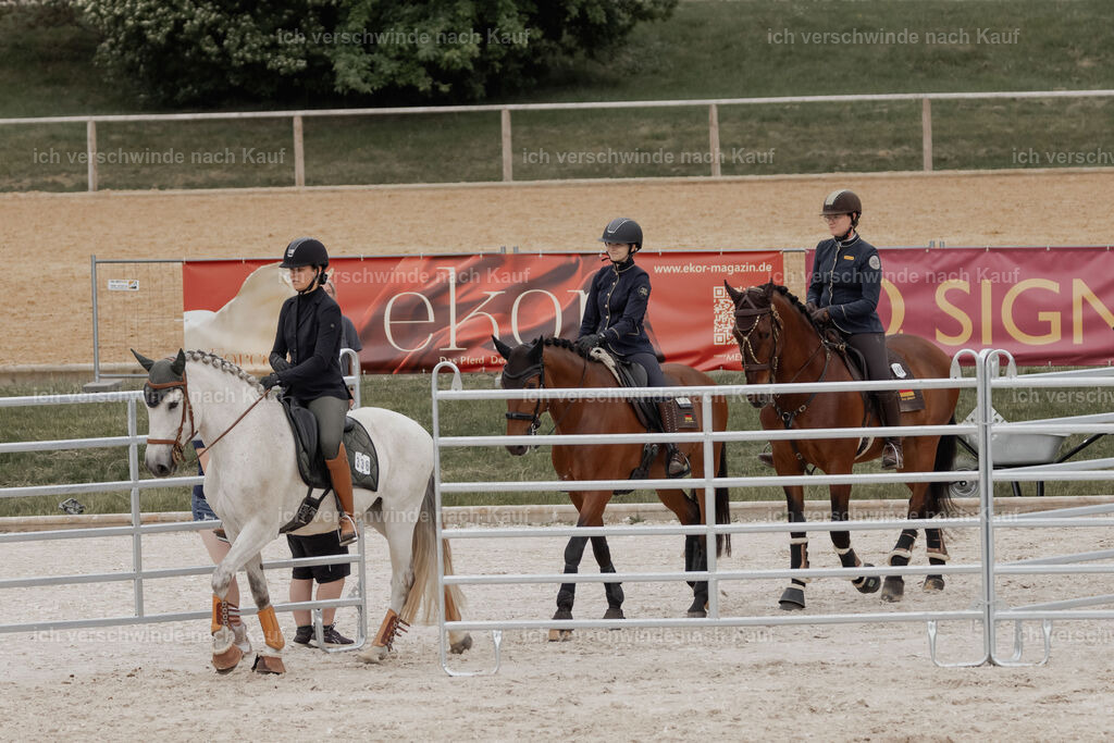 WE__Stoib_Rinder_PI2025_3028 | Pferd International München 2025