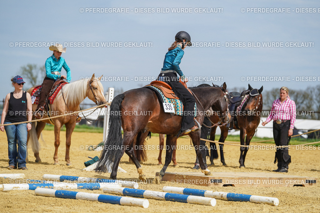 DSC04295 | Pferdegrafie