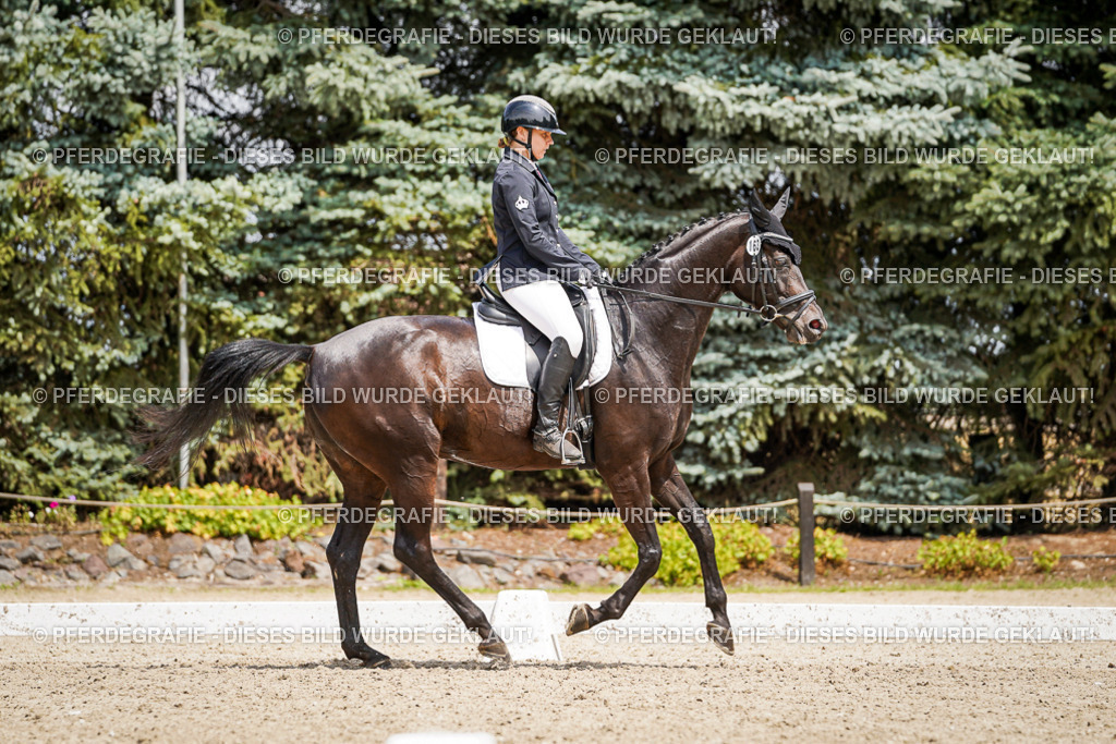 DSC02775 | Pferdegrafie