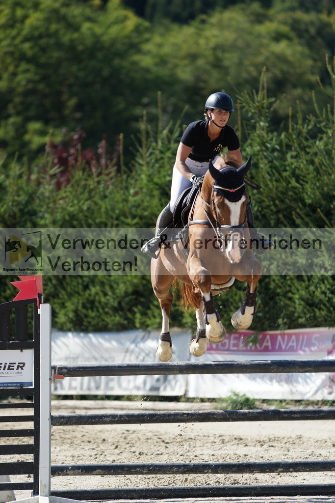DSC01690 | equestrian-live-com