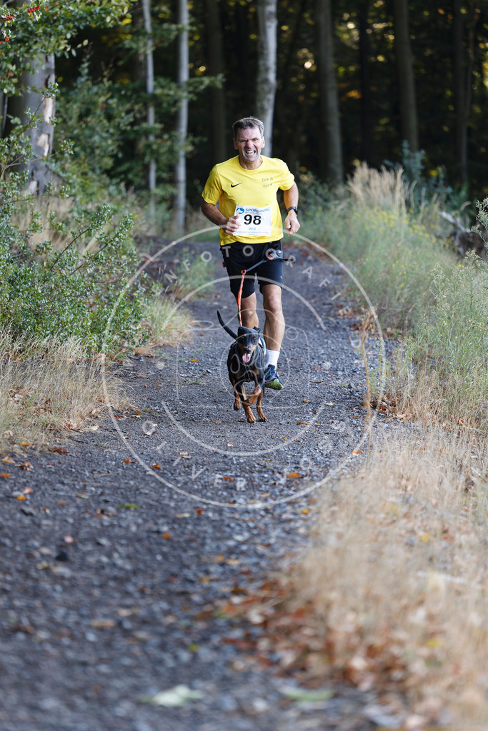 0L8A2251 | Hundefotografie, Tierfotograf, Pfotenfotografie, Fotoshooting Hund, Hunde Portrait, Hundesport, Hundeportraits, Heideshooting, Hunde, Sportfotograf, Hundefotograf, Turnierhundsport, THS,  - Realisiert mit Pictrs.com