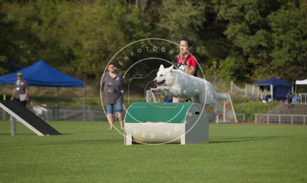0L8A3994 | Hundefotografie, Tierfotograf, Pfotenfotografie, Fotoshooting Hund, Hunde Portrait, Hundesport, Hundeportraits, Heideshooting, Hunde, Sportfotograf, Hundefotograf, Turnierhundsport, THS,  - Realisiert mit Pictrs.com