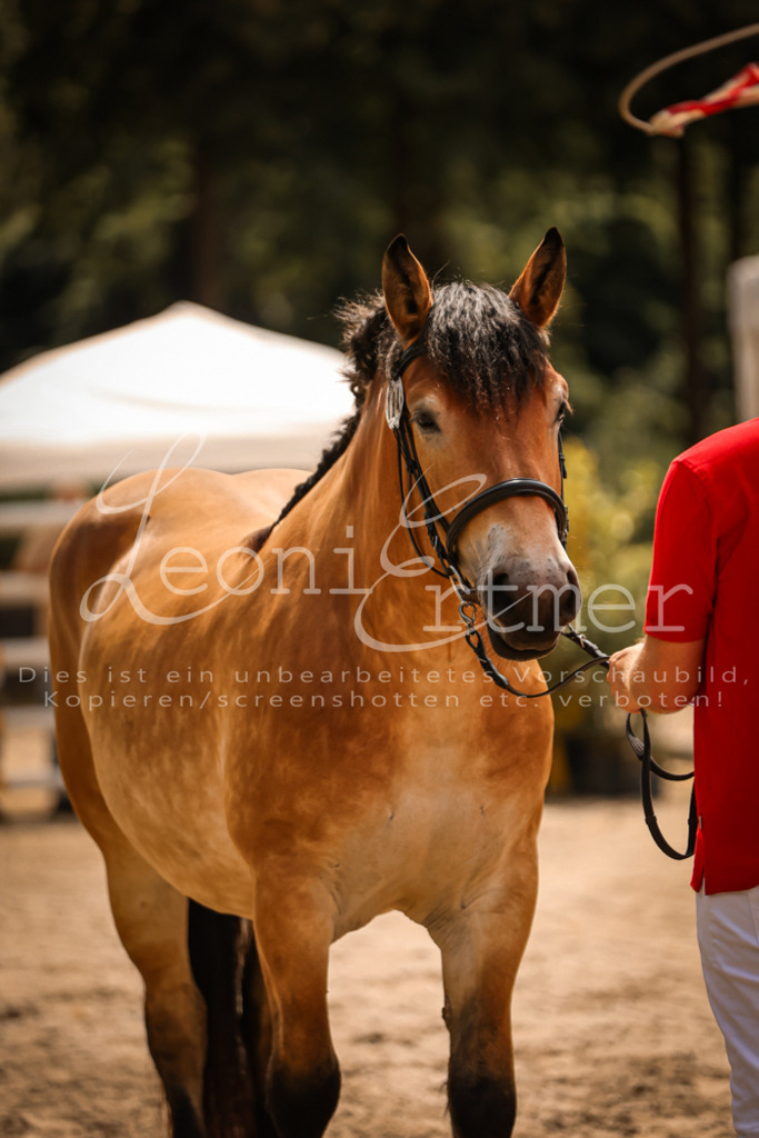 2.Sa00090 | Leoni Ertmer Photography - Realisiert mit Pictrs.com