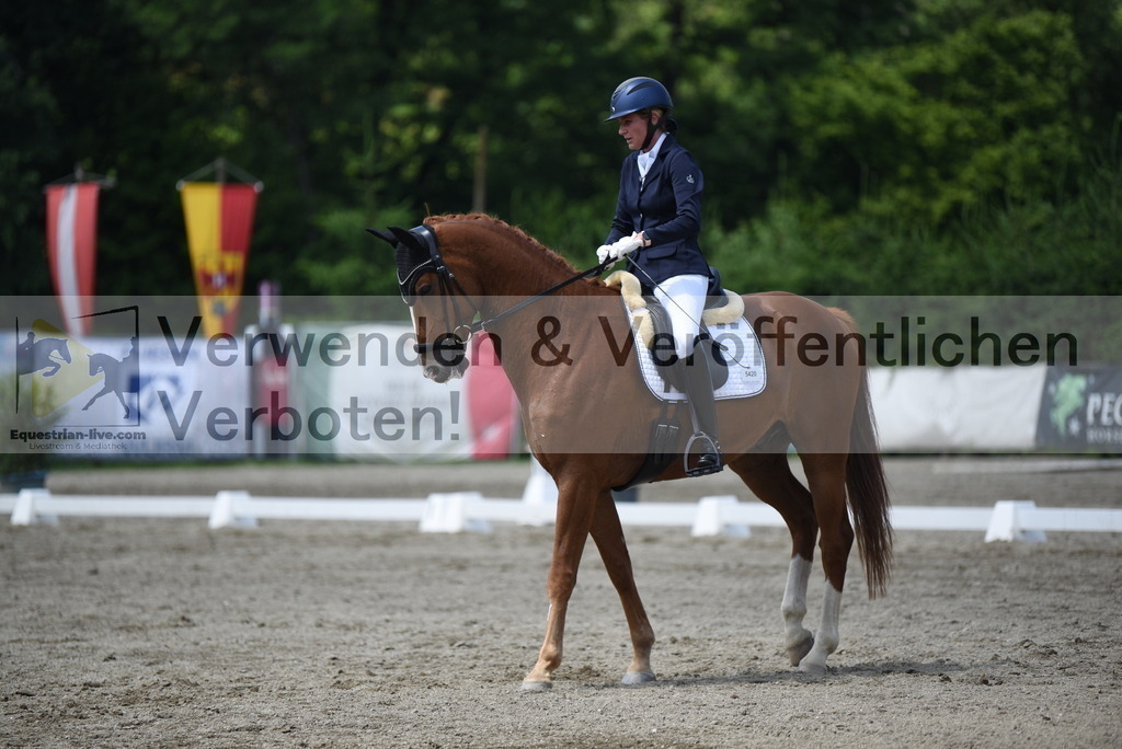 DSC_9331 | equestrian-live-com